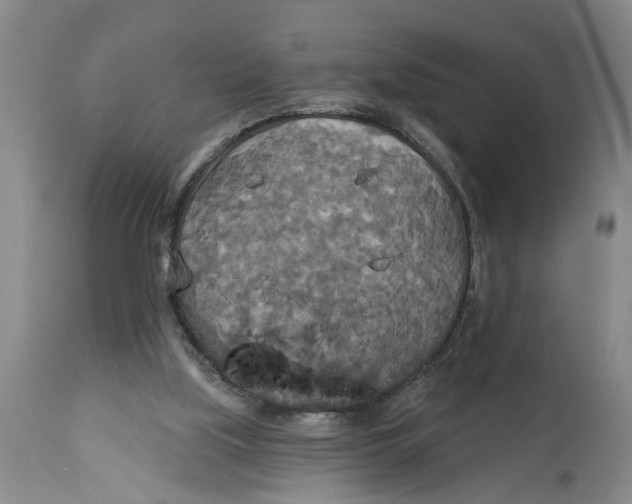 X0000114550059200911091205