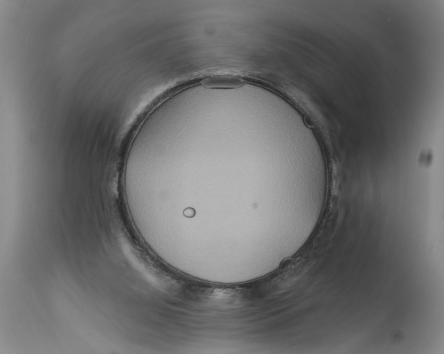 X0000114550060200911091205
