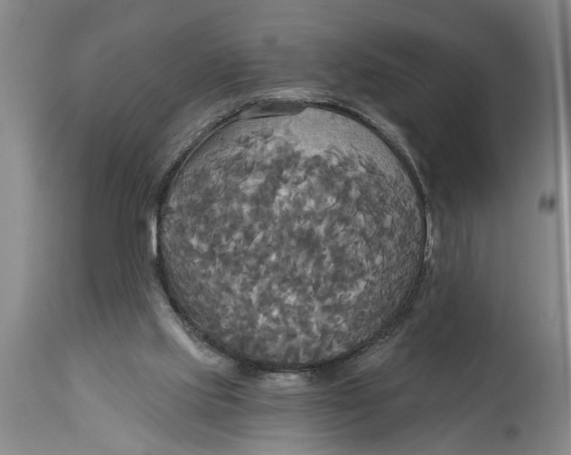 X0000114550061200911091205
