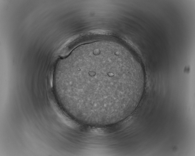 X0000114550062200911091205