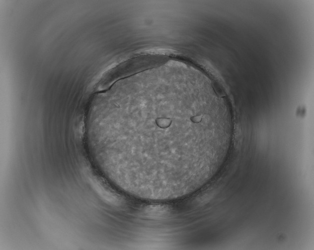 X0000114550063200911091205