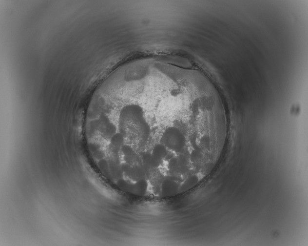 X0000114550065200911091205
