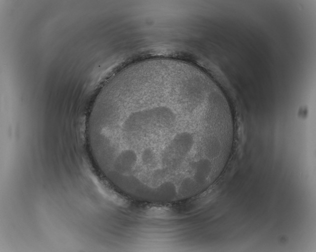 X0000114550066200911091205