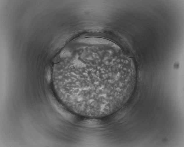 X0000114550069200911091205