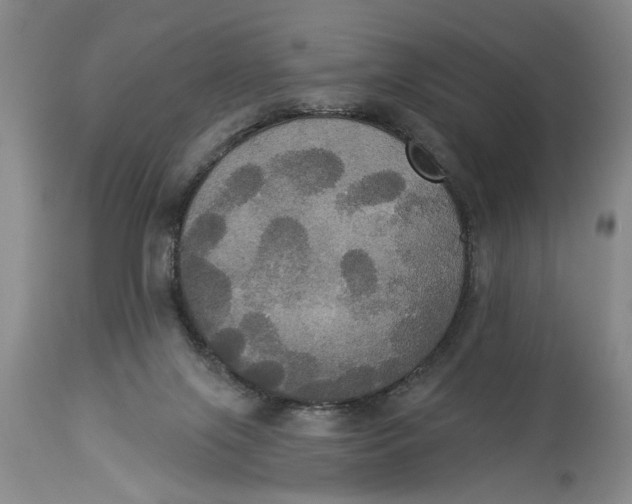 X0000114550071200911091205