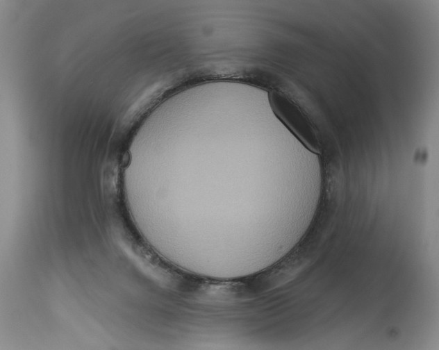 X0000114550072200911091205