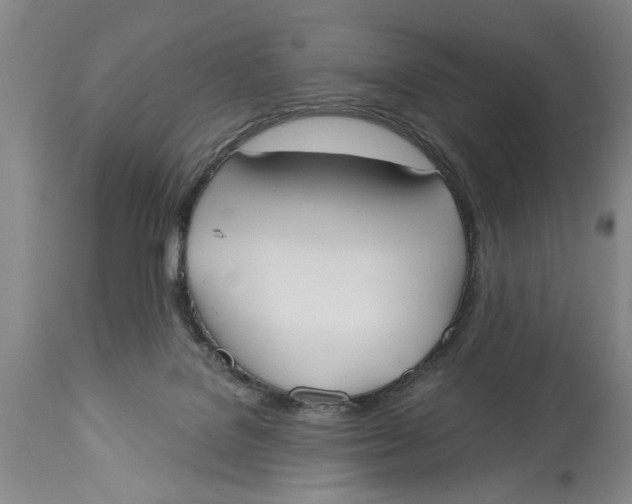 X0000114550076200911091205
