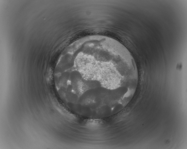 X0000114550077200911091205