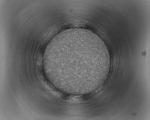 X0000114550078200911091205