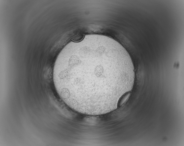 X0000114550079200911091205
