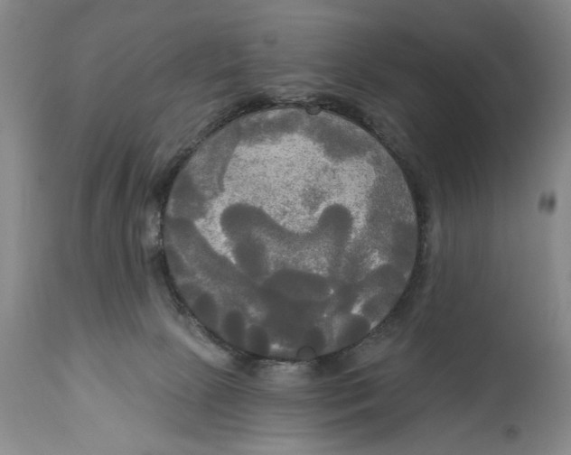 X0000114550081200911091205