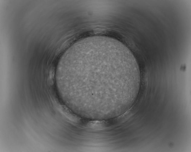 X0000114550082200911091205