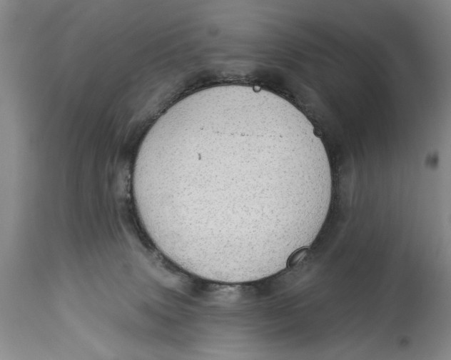 X0000114550083200911091205