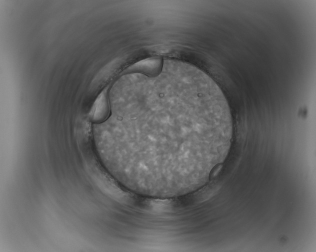 X0000114550085200911091205