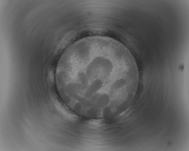 X0000114550086200911091205