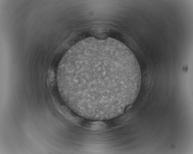 X0000114550087200911091205