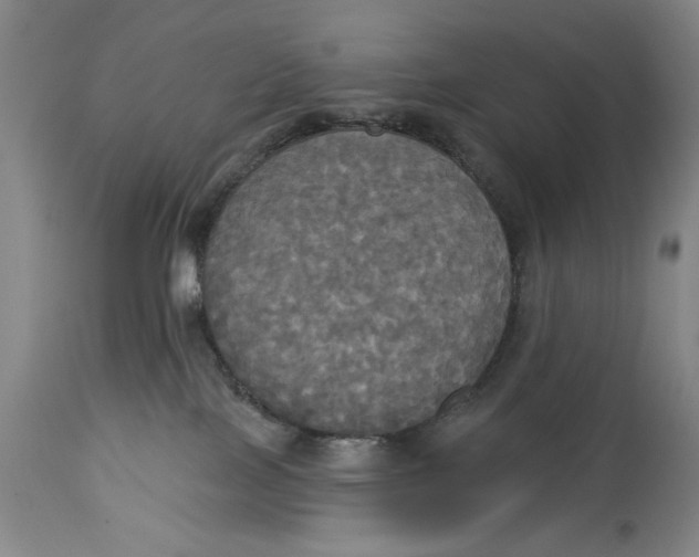 X0000114550089200911091205