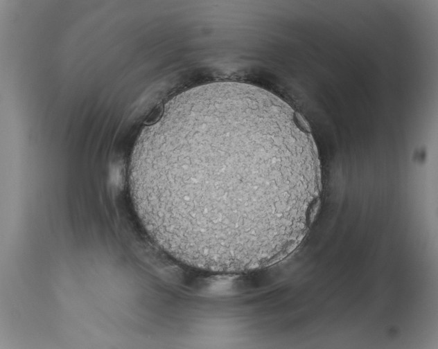 X0000114550090200911091205