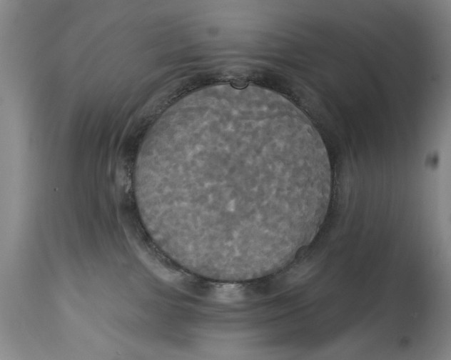 X0000114550091200911091206