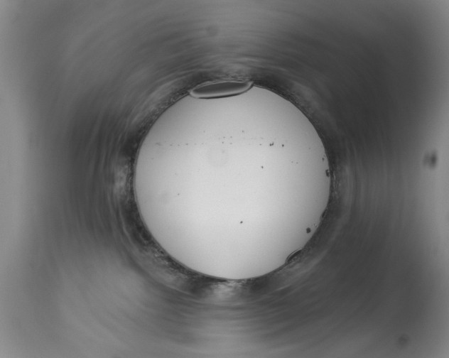X0000114550092200911091206