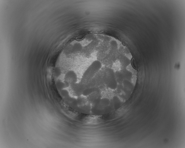 X0000114550093200911091206