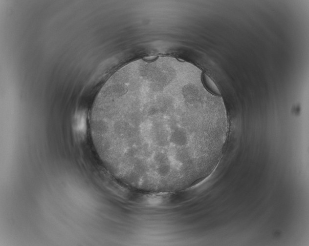 X0000114550094200911091206
