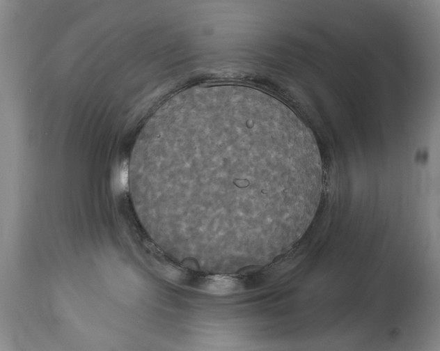 X0000114550095200911091206
