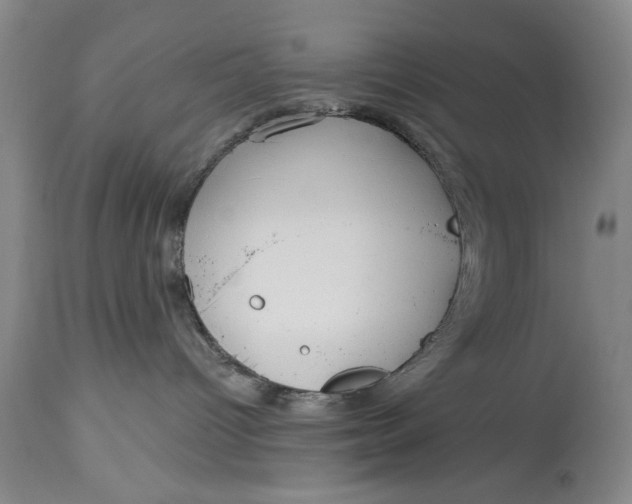 X0000114550096200911091206