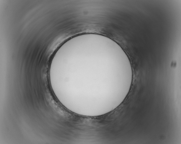 X0000114550098200911091205