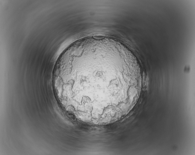 X0000114550099200911091205