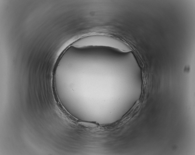 X0000114550100200911091205