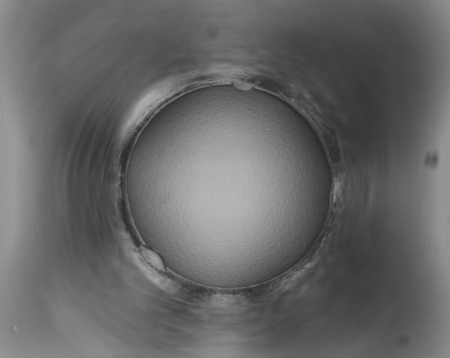 X0000114550101200911091205