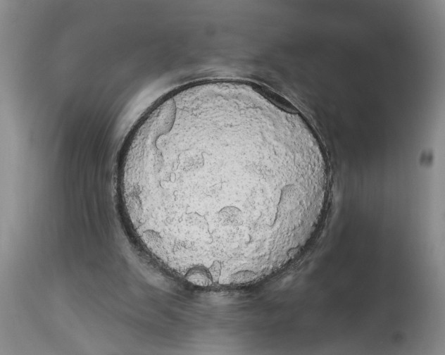 X0000114550103200911091205