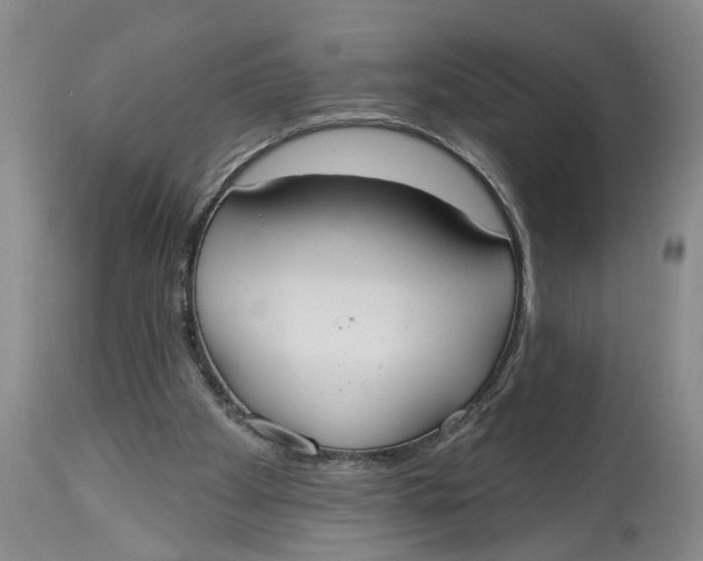 X0000114550105200911091205
