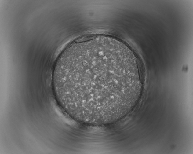 X0000114550107200911091205