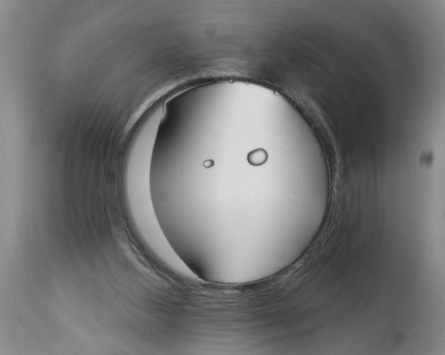 X0000114550108200911091205