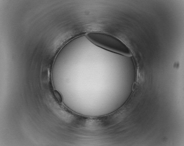 X0000114550109200911091205