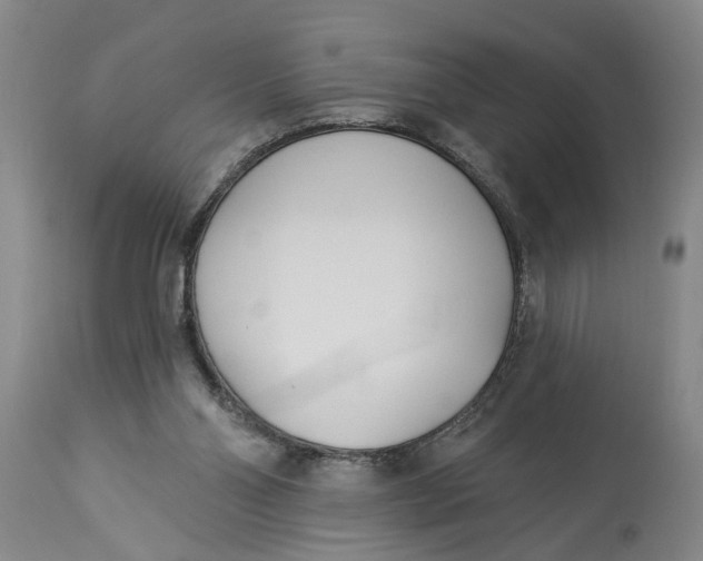 X0000114550110200911091205
