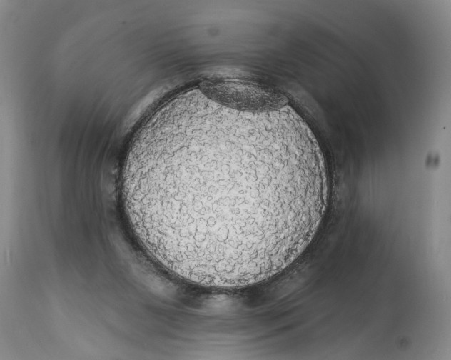 X0000114550111200911091205