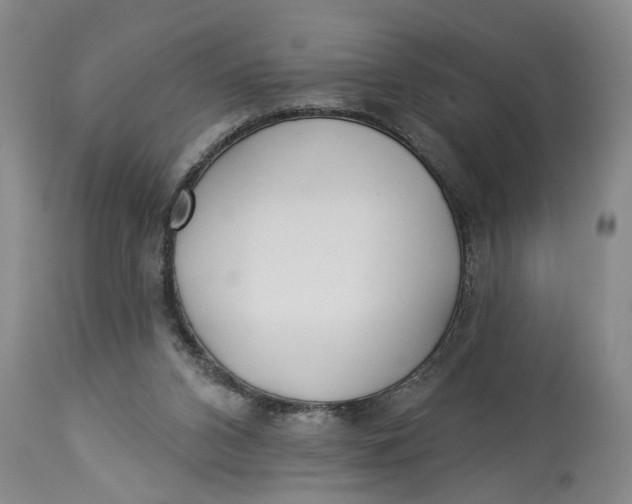 X0000114550112200911091205