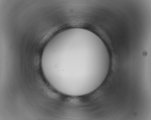 X0000114550113200911091205