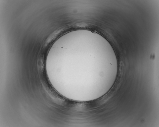 X0000114550116200911091205