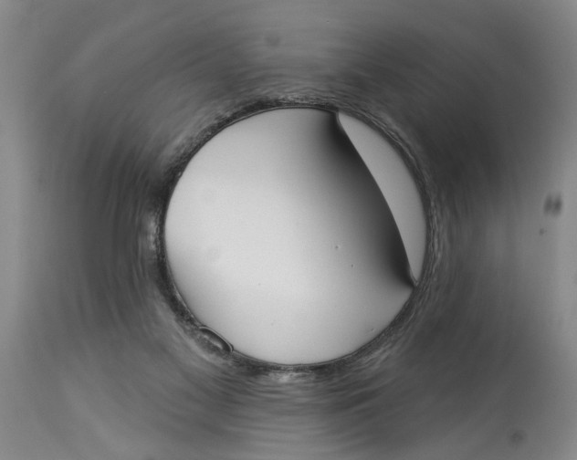 X0000114550117200911091205