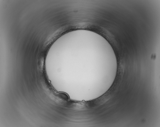 X0000114550118200911091205