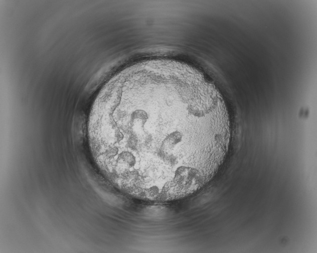 X0000114550119200911091205