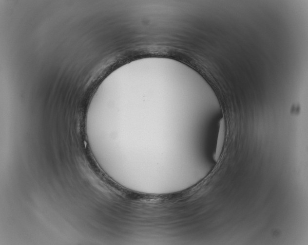 X0000114550120200911091205