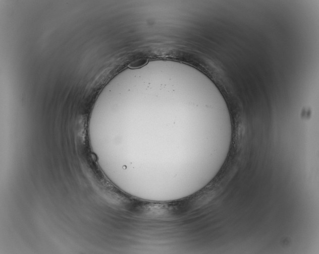 X0000114550121200911091205