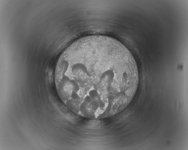 X0000114550123200911091205