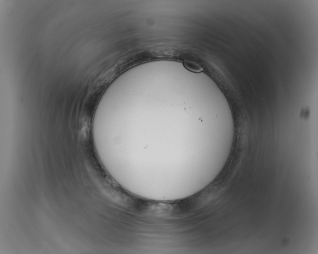 X0000114550125200911091205