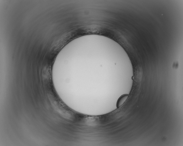 X0000114550126200911091205